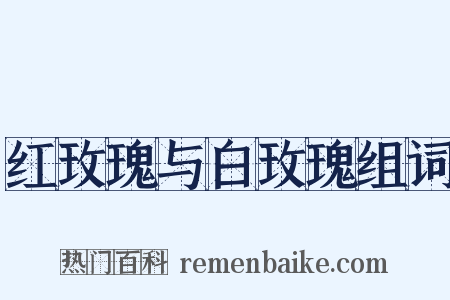 红玫瑰与白玫瑰组词是什么意思的图片